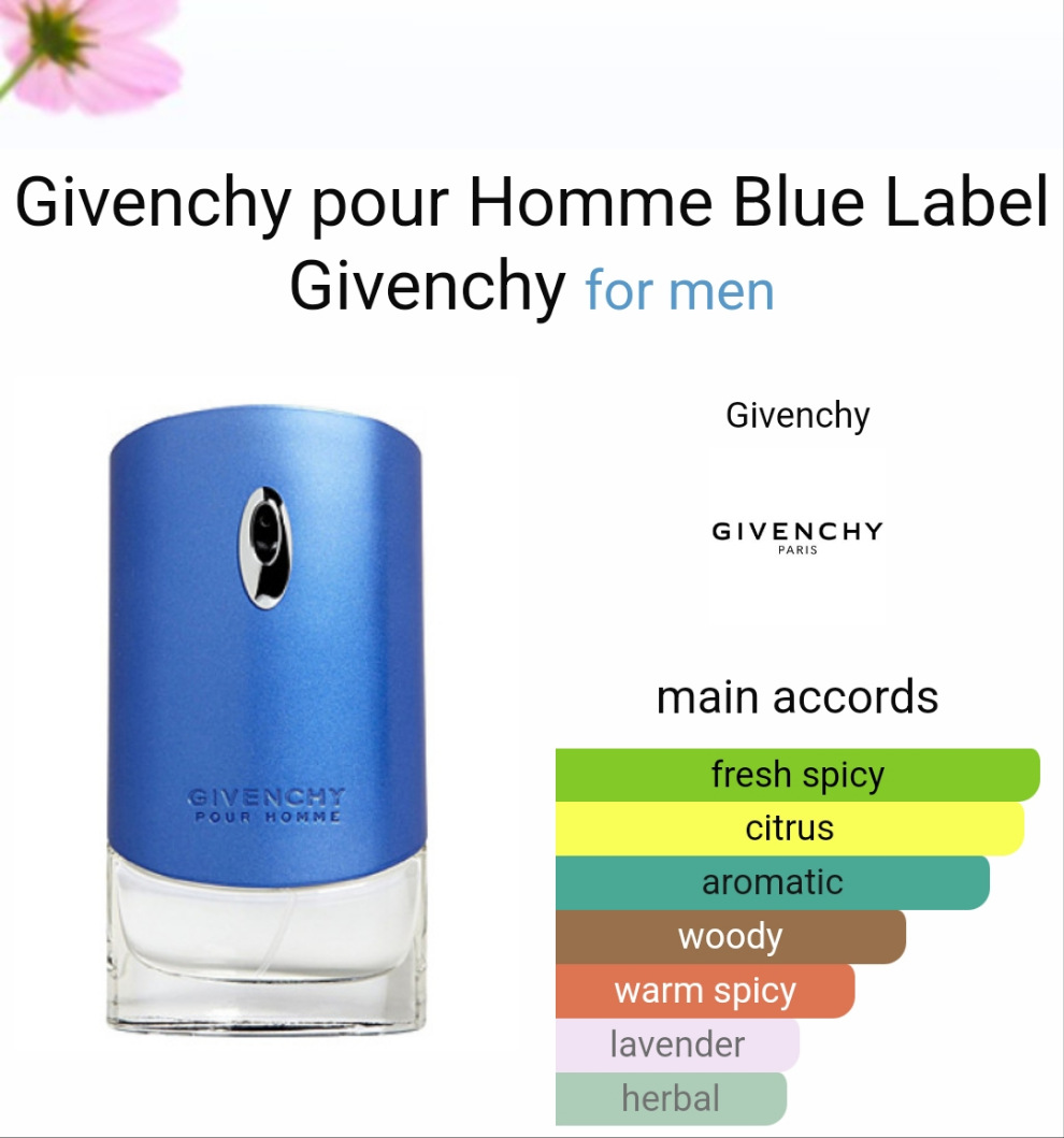 Givenchy pour Homme Blue Label by Givenchy 100ml
