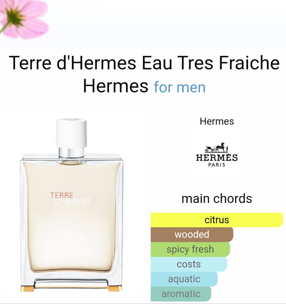 Terre d'Hermes Eau Tres Fraiche by Hermès 100ml
