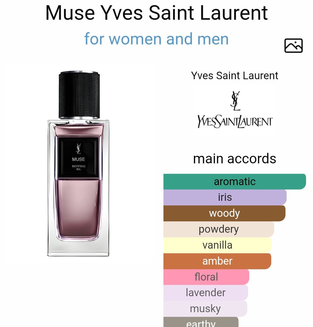 Muse by Yves Saint Laurent 125ml