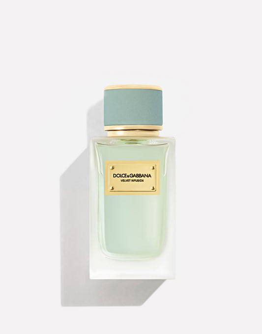 Velvet Infusion by Dolce&Gabbana 100ml